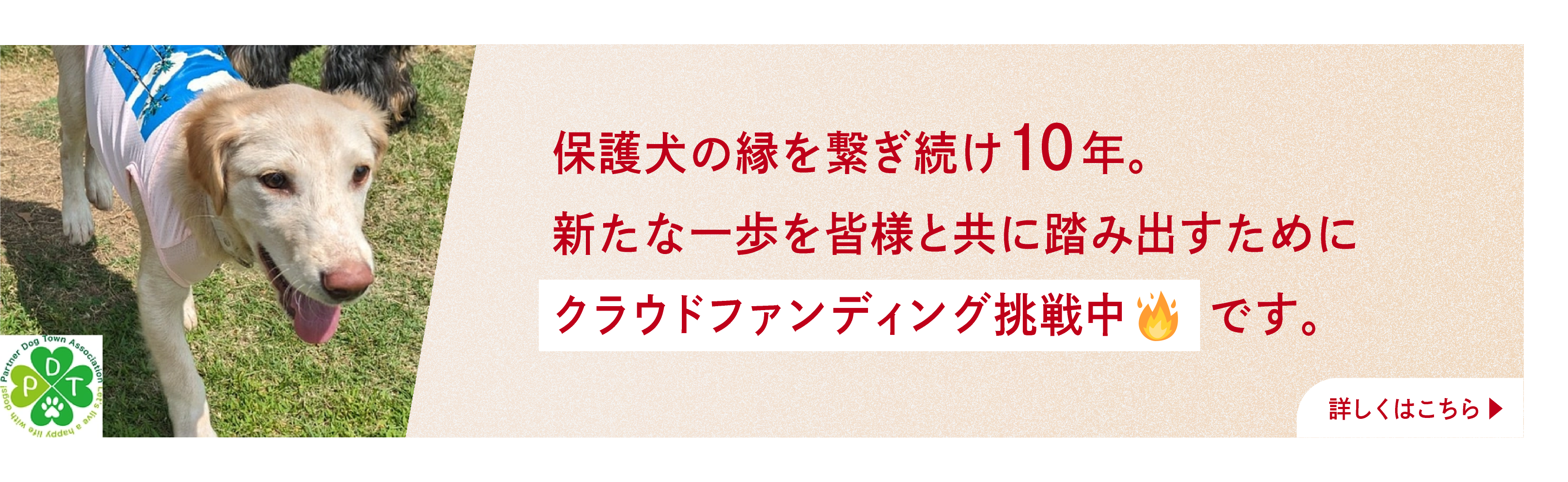 クラウドファンディング挑戦中