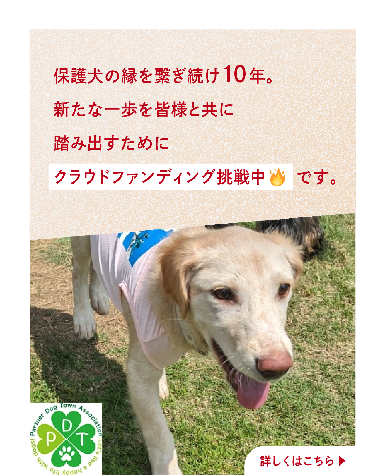 クラウドファンディング挑戦中