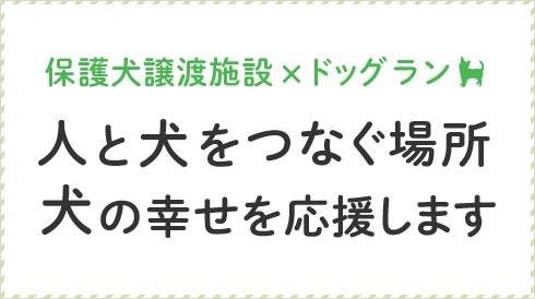 保護権譲渡施設×ドッグラン 人と犬をつなぐ場所 犬の幸せを応援します